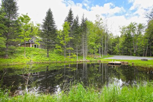 679 Burrington Hill Rd, Whitingham, VT, 05361 | Card Image