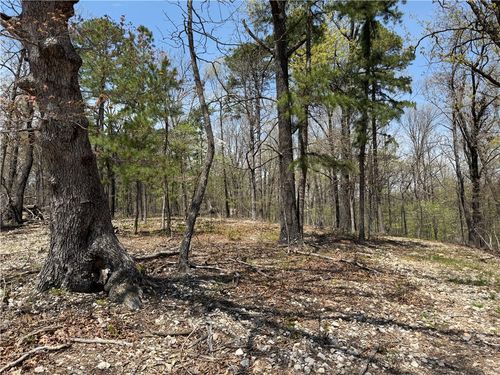 TBD County Road 1027, Eureka Springs, AR, 72632 | Card Image
