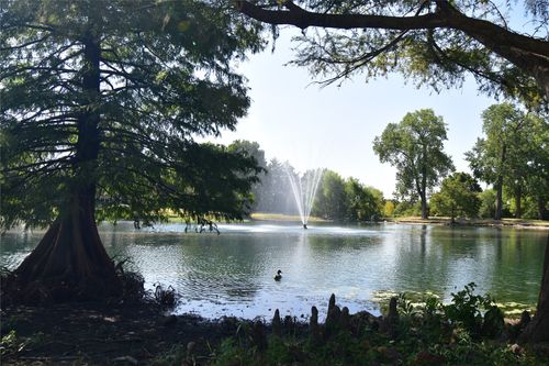 1109 Shadow Lakes Blvd, Allen, TX, 75002-5823 | Card Image