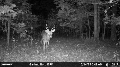 000 Old Dolph Rd, Pineville, AR, 72566 | Card Image