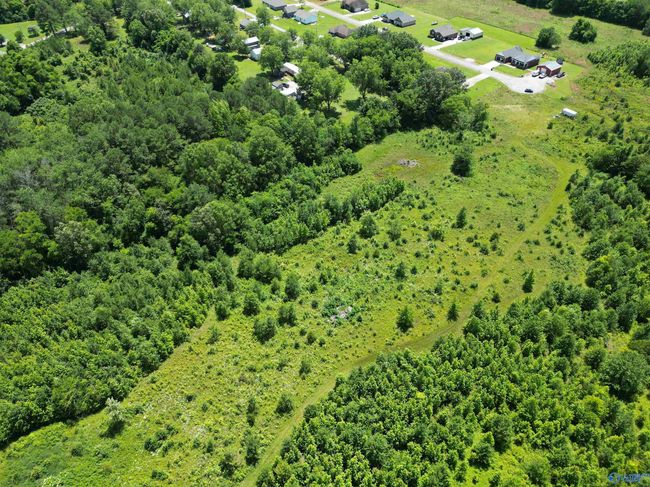 14 Acres Beaver Creek Rd, Home with 0 bedrooms, 0 bathrooms and null parking in Laceys Spring AL | Image 15