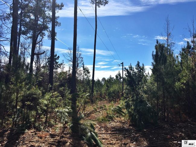 0 Tucker Store Rd, Home with 0 bedrooms, 0 bathrooms and null parking in Spearsville LA | Image 11