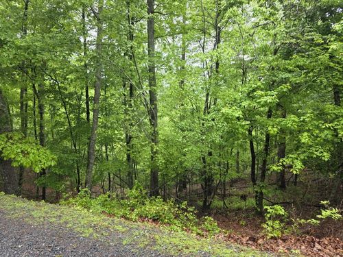 937 Myna Dr, Ellijay, GA, 30540 | Card Image