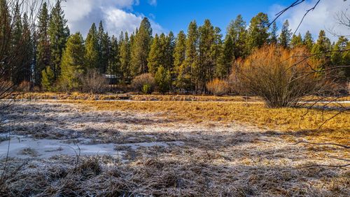 17219 Pasadena Rd, Bend, OR, 97707 | Card Image