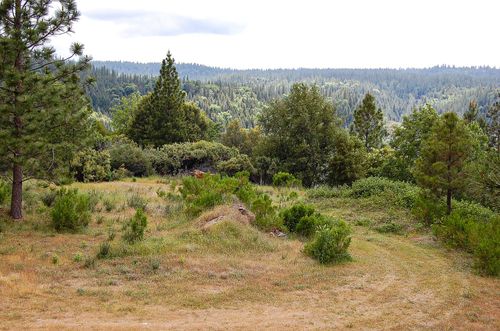 2676 Silver Mountain Rd, Rail Road Flat, CA, 95248 | Card Image