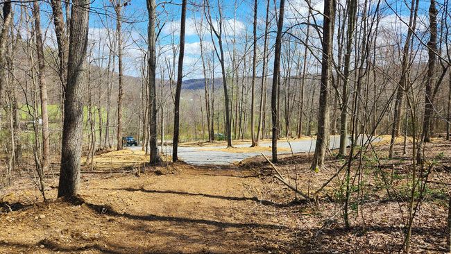 TRACT-1-PIKE-LAKE-GETAWA - 0 Pike Lake Rd, Home with 0 bedrooms, 0 bathrooms and null parking in Bainbridge OH | Image 14