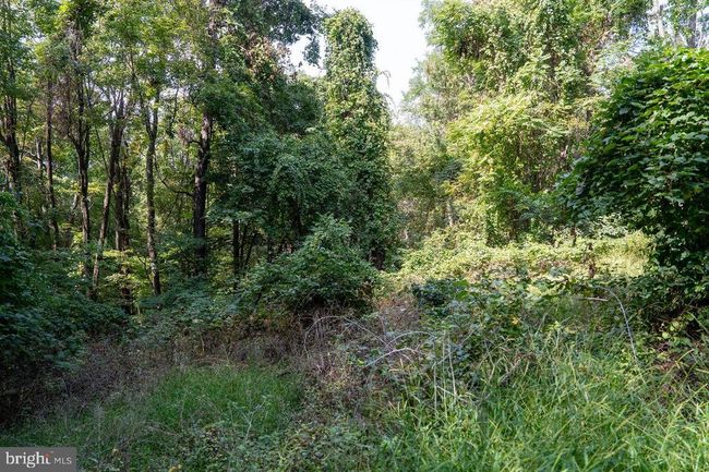 Lot 3 Price Ridge Rd, Home with 0 bedrooms, 0 bathrooms and null parking in STANLEY VA | Image 41