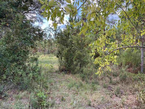 TBD S State Road 53, Madison, FL, 32340 | Card Image