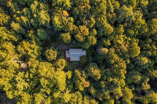 10950 Chatsworth Hwy, Ellijay, GA, 30540-0228 | Card Image