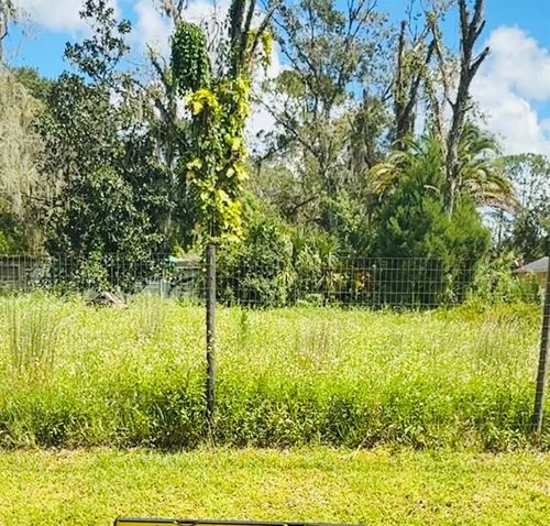 1229 Cupid Ave, CHRISTMAS, FL, 32709-9536 | Card Image