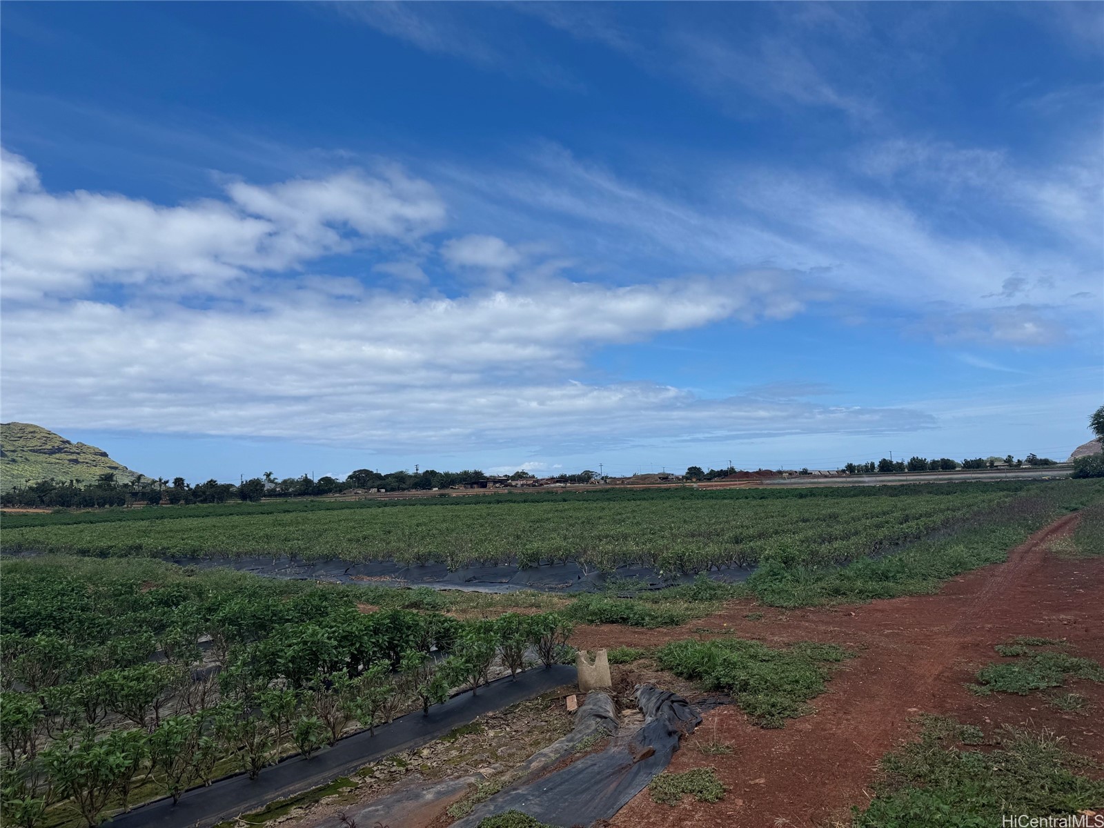 Land in Waianae 3