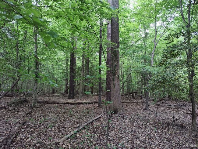 0 Old Church St, Home with 0 bedrooms, 0 bathrooms and null parking in Claremont VA | Image 23