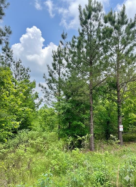 Land in Broken Bow