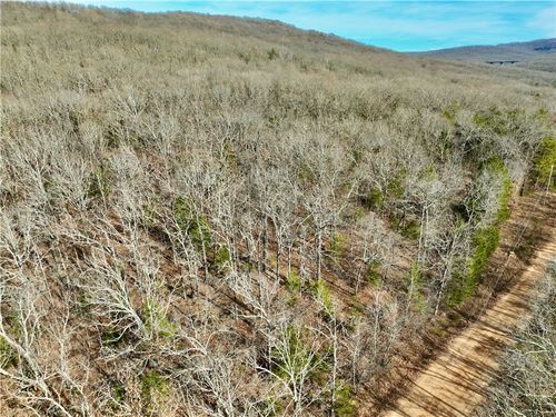 TBD Old Cabin Rd, Winslow, AR, 72959 | Card Image