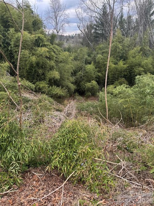 34 Belleair Road, Asheville, NC, 28806 | Card Image