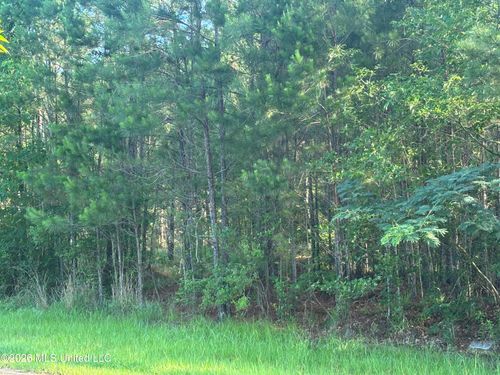 0 Shelby Rd, Hermanville, MS, 39086 | Card Image