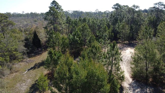 20-07S-04W-4212-0044-0080 Avenue J N, Home with 0 bedrooms, 0 bathrooms and null parking in CARRABELLE FL | Image 4