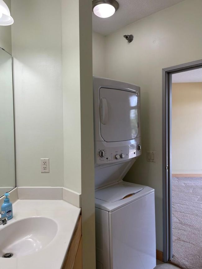 Built In Laundry in Main Bathroom | Image 10