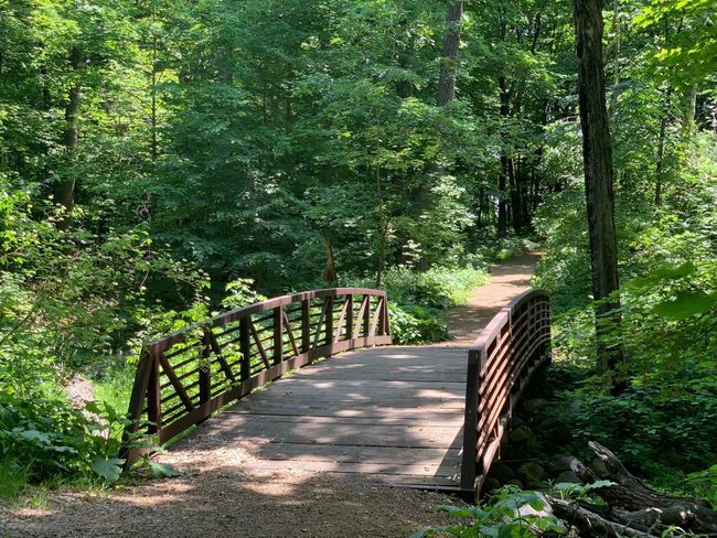 Henry Woods Park, 2 minutes away, 45 acres for exploration. | Image 12