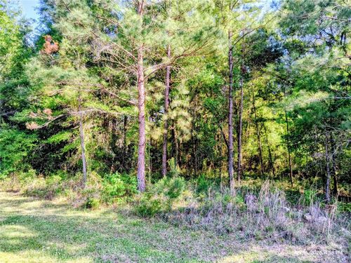 TBD Nw 142nd St, Williston, FL, 32696 | Card Image