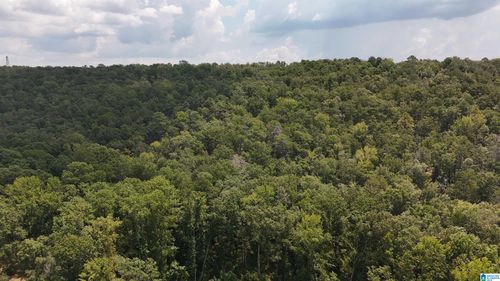 n-1700 Lakeside Dr, Mc Calla, AL, 35111 | Card Image