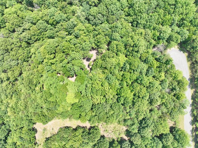 1189 Cloud Land Ln, Home with 0 bedrooms, 0 bathrooms and null parking in Dunlap TN | Image 10