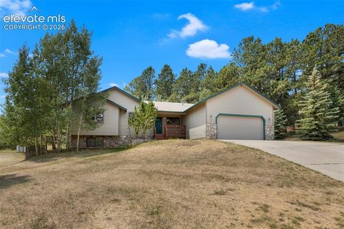 821 Red Eagle Ct, Woodland Park, CO, 80863-2124 | Card Image