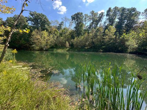 0 Stipps Hill Rd, Laurel, IN, 47024 | Card Image