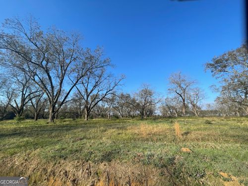 8 County Line Rd, Elko, GA, 31025 | Card Image