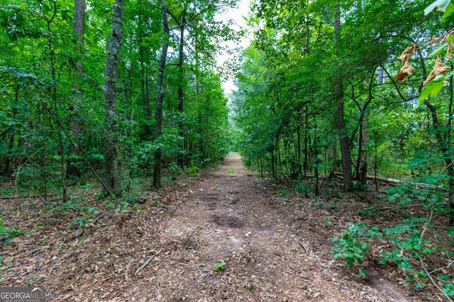 0 John Lovelace Rd, Home with 0 bedrooms, 0 bathrooms and null parking in LAGRANGE GA | Image 26