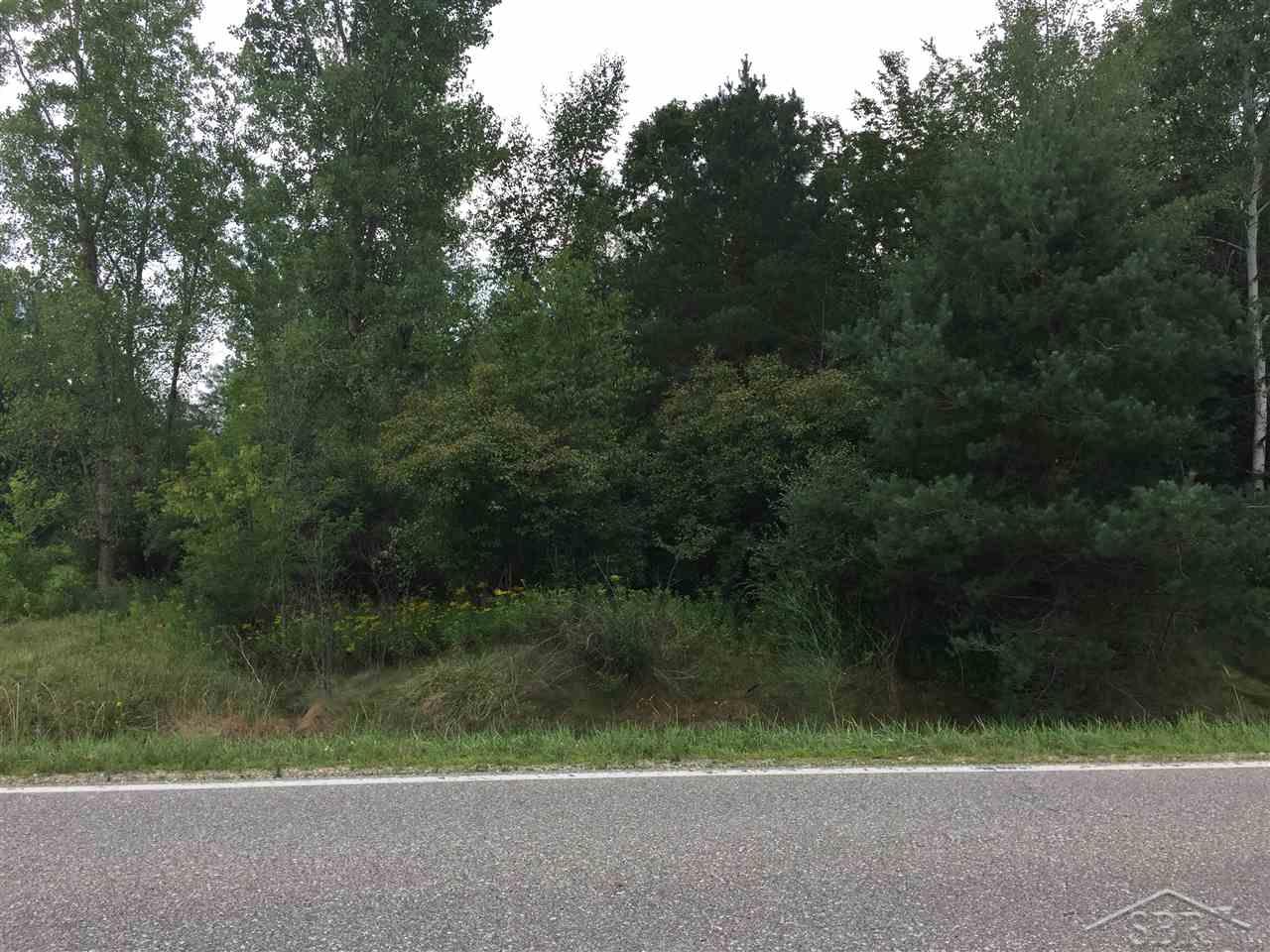 Freeland Rd, Merrill, MI 48637