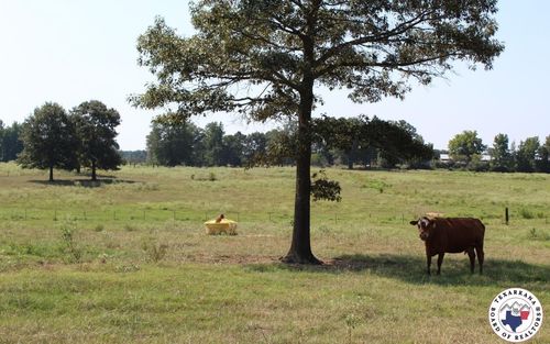 TBD Mc 10 &Amp; 268, Fouke, AR, 71854 | Card Image