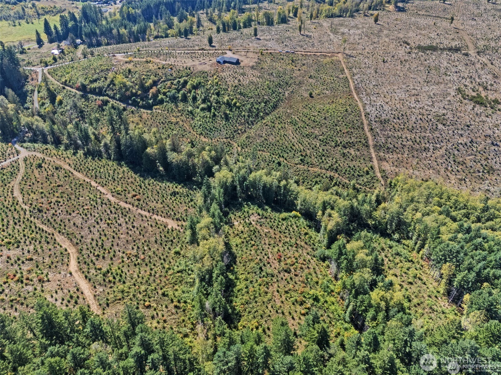 Land in Chehalis 4