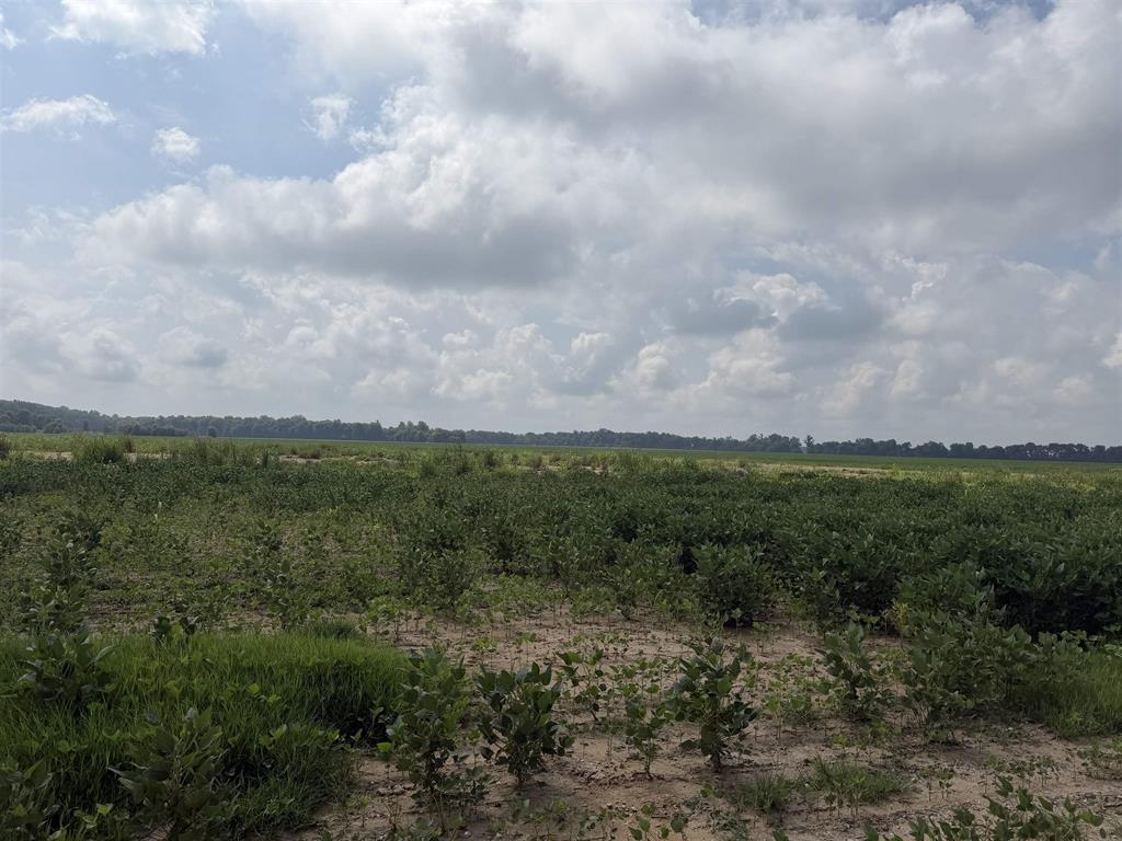 Land in Corydon 2