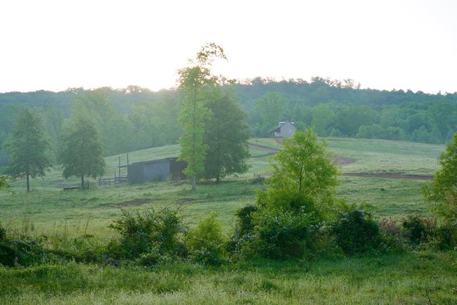 40.46AC Barker Cove Loop, Home with 1 bedrooms, 1 bathrooms and null parking in Palmer TN | Image 16