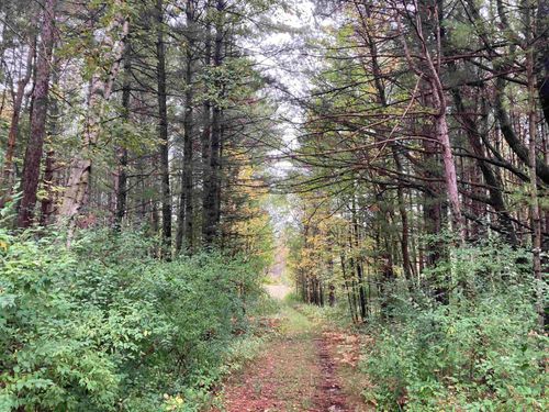 3787 Kelly Rd, Lupton, MI, 48635-9704 | Card Image