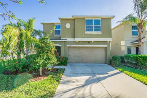 17061 Peaceful Valley Drive, WIMAUMA, FL, 33598 | Card Image