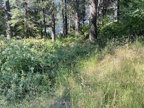 4619 Terrace Rd, Loon Lake, WA, 99148-9633 | Card Image