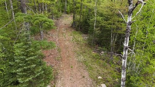 3936 W North Clover Rd, Loretta, WI, 54896 | Card Image