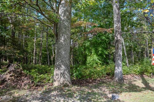 Lot 68 Wood Land Circle, Lebanon, VA, 24266 | Card Image