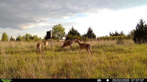 80 Acres Mol County Road 69, Crescent, OK, 73028 | Card Image
