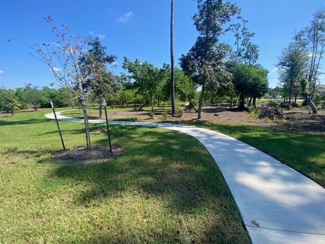 Tranquil outdoor settings with winding paths through a grassy area dotted with trees, providing a peaceful environment for walking or relaxation. | Image 13