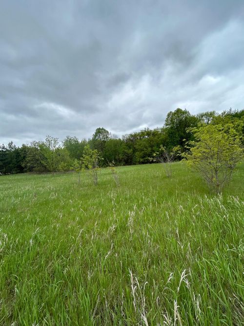 XXX Calico Trl Sw, Motley, MN, 56466 | Card Image