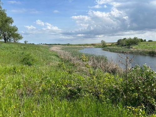 XXXXX 170th Avenue, Glenwood, MN, 56334 | Card Image