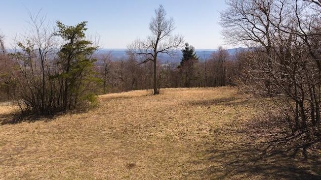 DJI_20250327122033_0758_D | Image 15