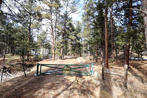 20155 Saddle Blanket Ln, Peyton, CO, 80831 | Card Image