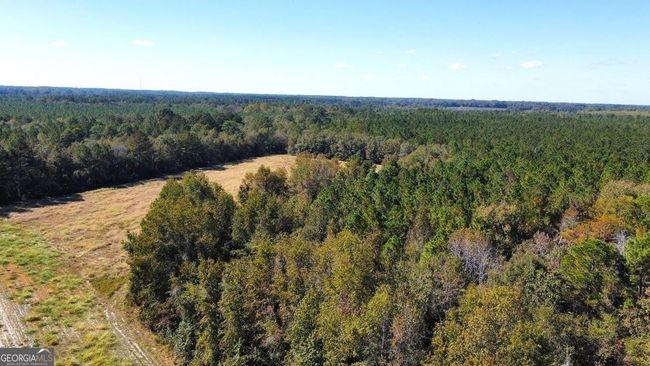 268-ACRES - 99 Old Happy Ln, Home with 0 bedrooms, 0 bathrooms and null parking in Brooklet GA | Image 8