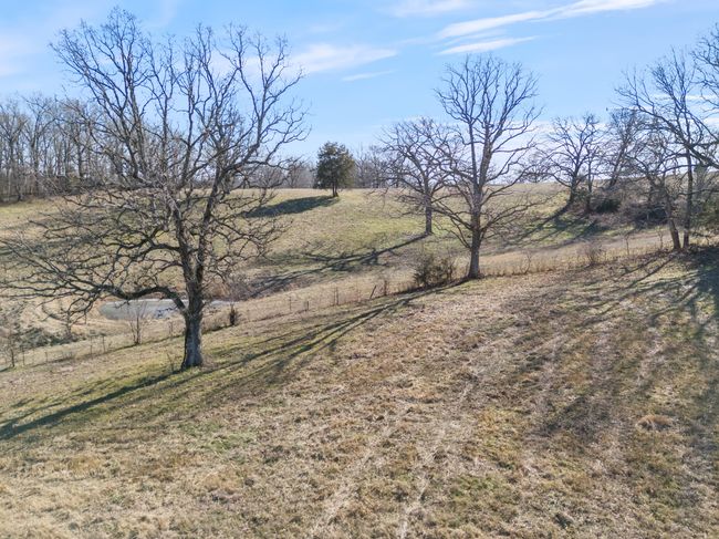 13_dji_20250128135817_0574_d_rem | Image 14