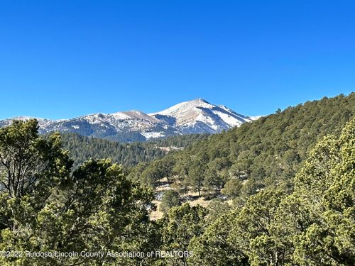 1601 Mechem Dr, Ruidoso, NM, 88345-7302 | Card Image