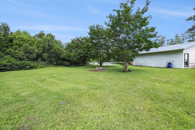 View of green lawn | Image 33